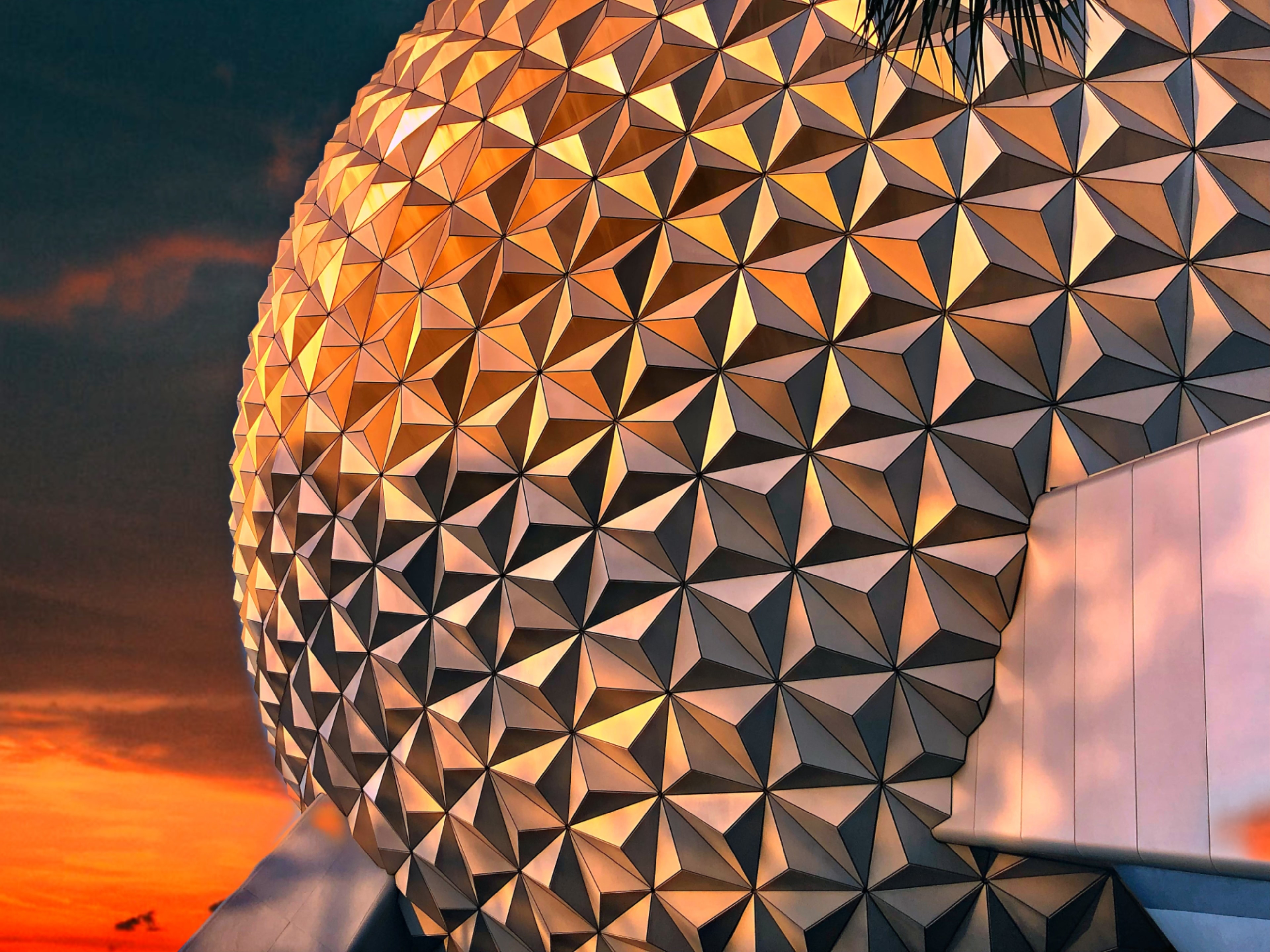 Walt Disney World